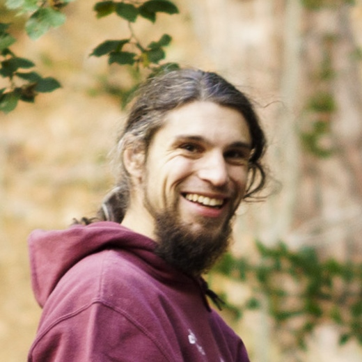 Laurent Blondiau portrait